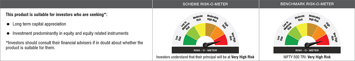 NJ Flexi Cap Fund Riskometer