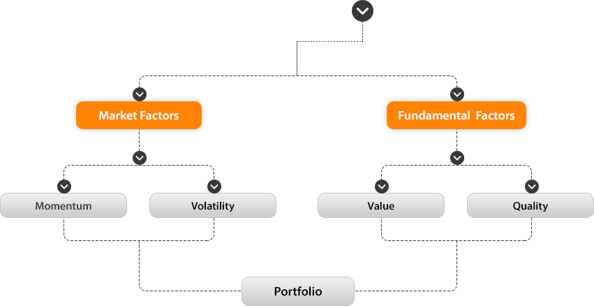 Stock Selection Process