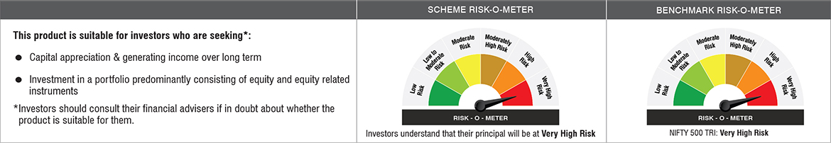 NJ Balanced Advantage Fund Riskometer